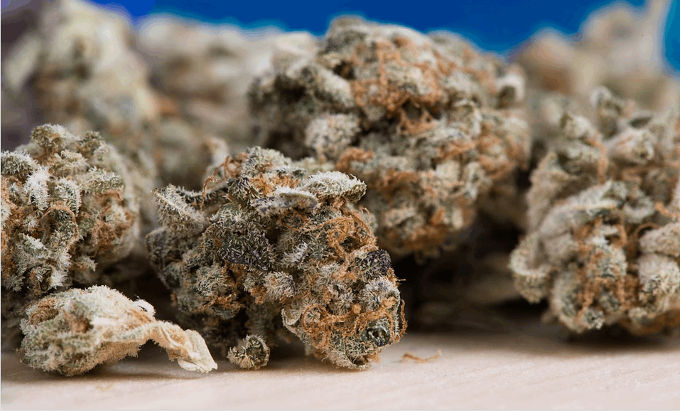 Debunking Myths About Buying Weed Online